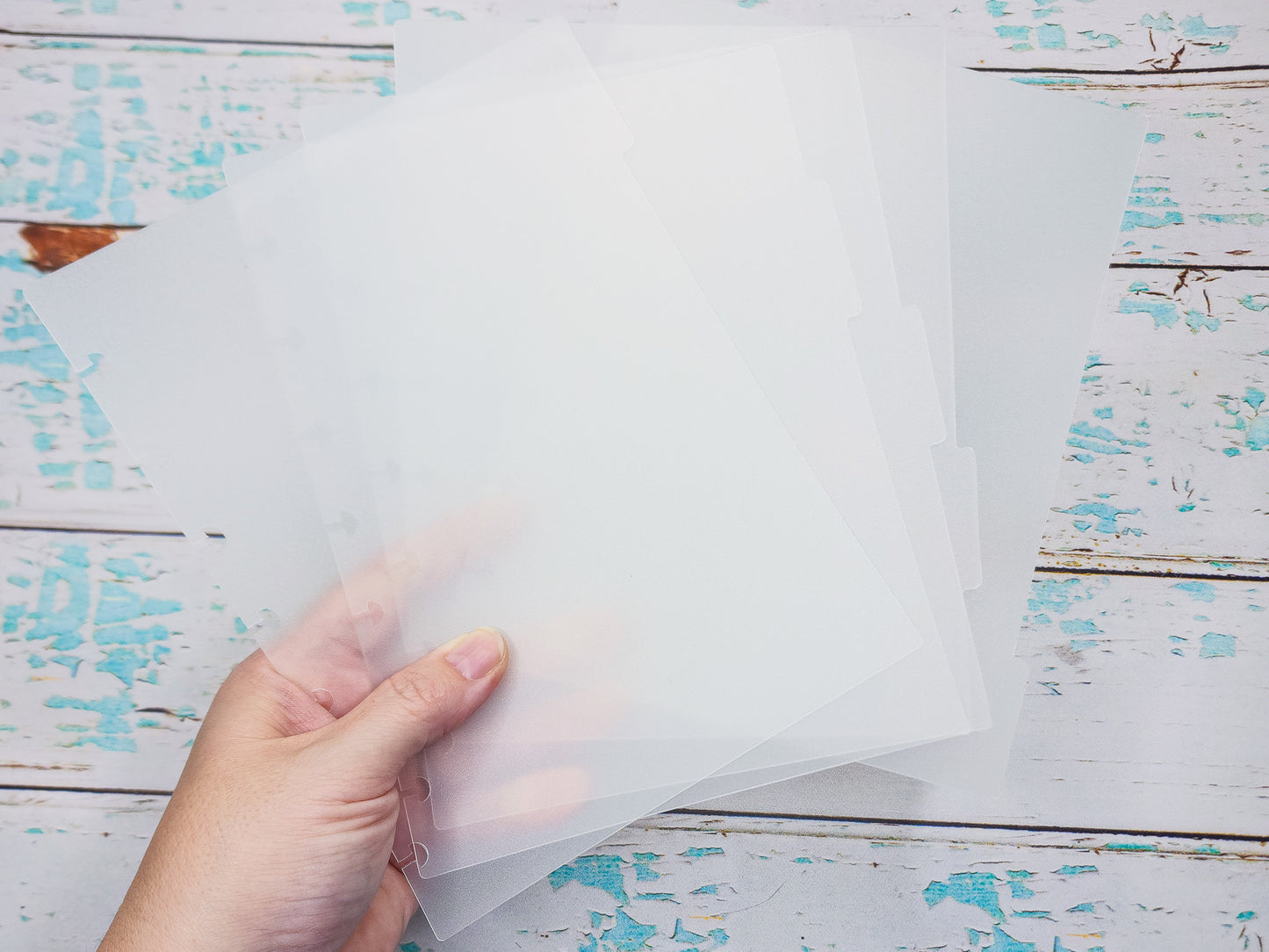 All Your Feelings are Valid Disc Bound Sticker Storage - 4 Slots - Tiny Text/Diecuts Size