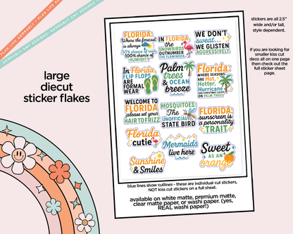 Florida Funnies Deco Typography Sampler Planner Stickers