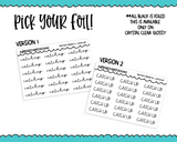 Foiled Tiny Text Series -  Catch Up Checklist Size Planner Stickers for any Planner or Insert